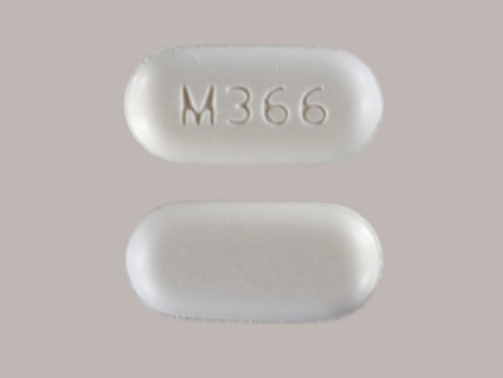 M366